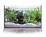 Akwarium i Terrarium